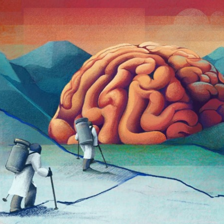 Abstract image of brain
